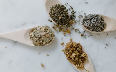 Mon troisième article
